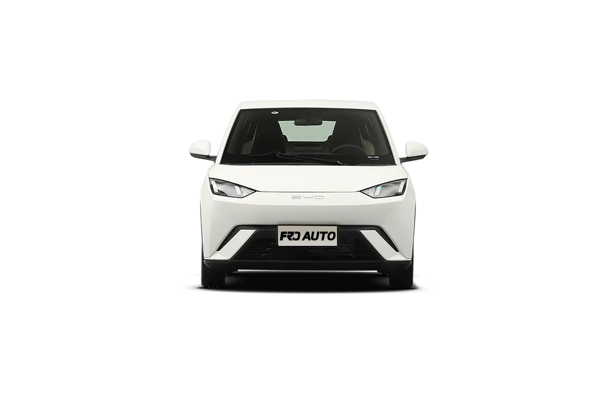 BYD Seagull | The compact Pure Electric Hatchback | Frdauto.com